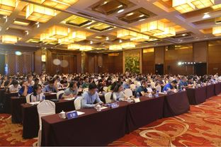 深度票據(jù)網(wǎng)2019商票生態(tài)峰會(huì)暨票據(jù)經(jīng)紀(jì)商轉(zhuǎn)型研討會(huì)隆重舉行，共繪貿(mào)易經(jīng)紀(jì)新藍(lán)圖